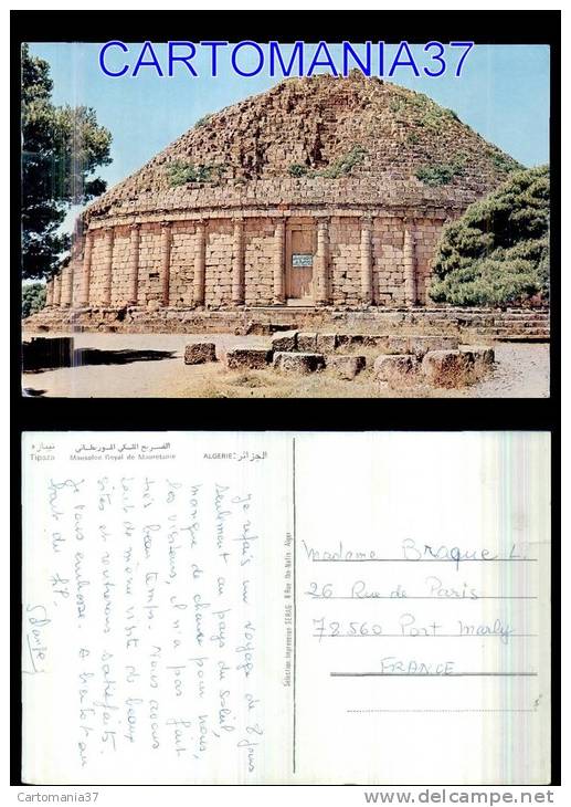 afrique-1361      algerie tipaza