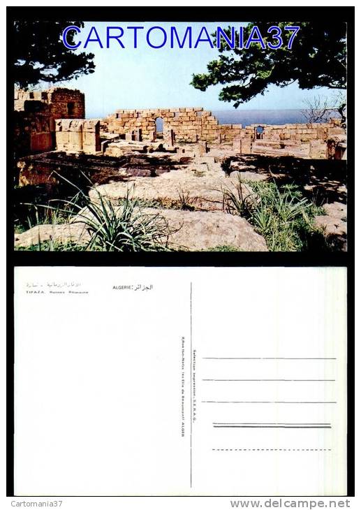 afrique-1069      algerie tipaza ruines
