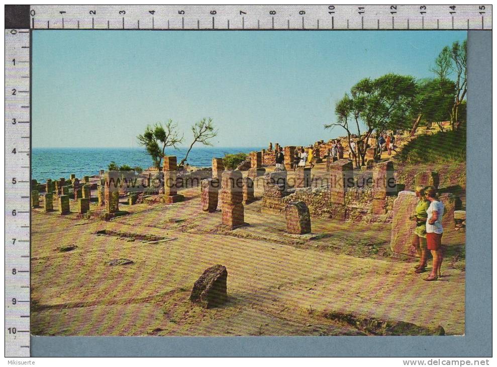 S495 ALGERIE TIPAZA RUINES ROMAINES scritta
