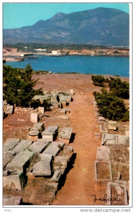 TIPAZA  Ruines Romaines carte  en très bon état