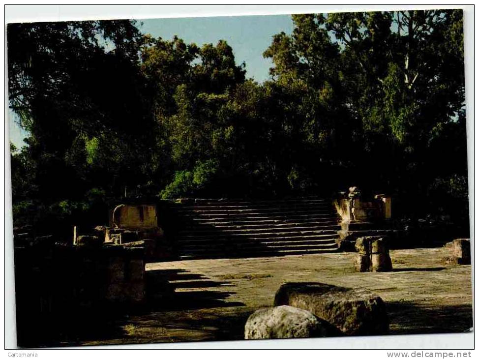 Algérie - Tipaza - Ruines Romaines