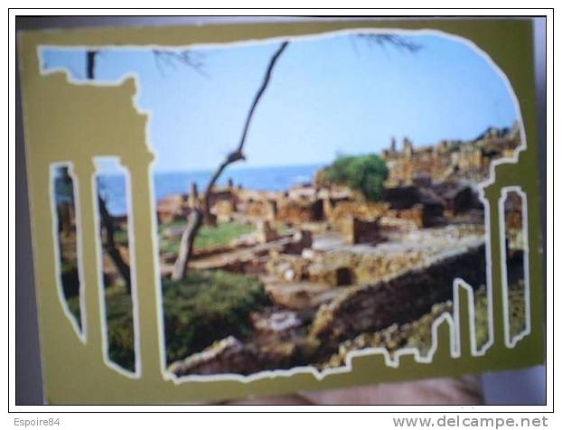 C. Postale  ALGERIE - TIPAZA - RUINES ROMAINES