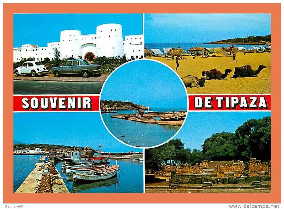 Algerie - Souvenir de TIPAZA - Multivues ( Automobile - Voiture ) // CPM