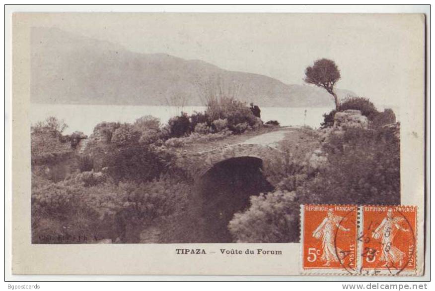 Tipaza