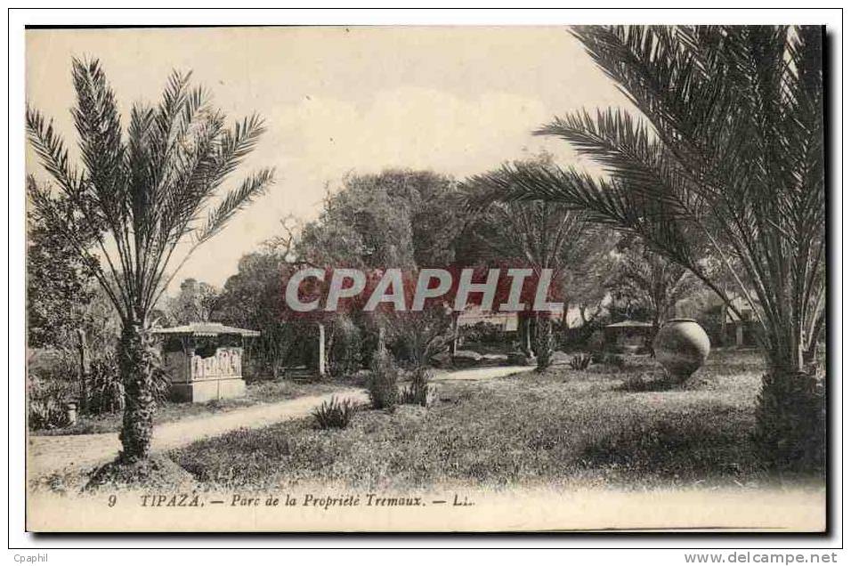 Algerie CPA Tipaza Parc de la Propriete Tremeaux
