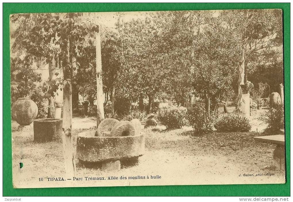 cpa  ALGERIE   ,  TIPAZA  - Parc Trémaux , allée des moulins à huile     ..........LMC15