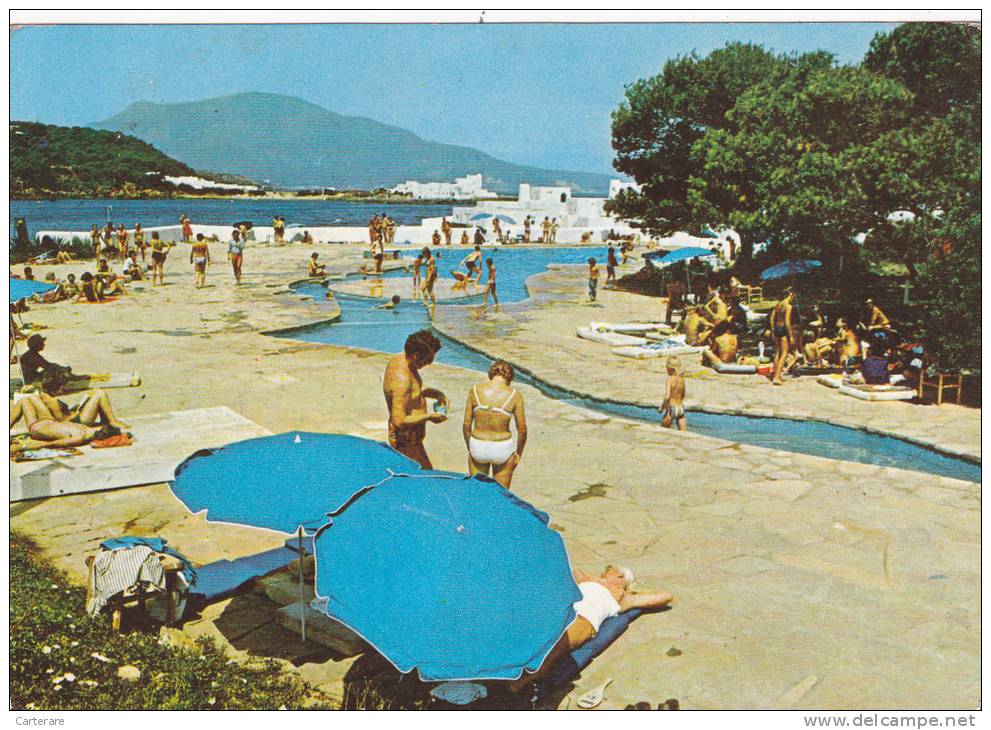 AFRIQUE,FRANCE COLONIES,MAGHREB,TIPAZA,T IPASA,ville cotiere,pres alger,hotel,village,paras ol,carte animée