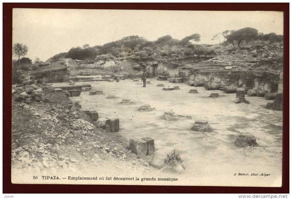 Cpa  Algérie Tipaza  emplacement où fut découvert la grande mosaïque      EUG20