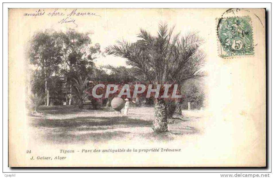 CPA Tipaza Para des antique de la Propriete Tremaux Algerie