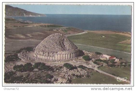 (Algérie) 159, Environs d'Alger Tipaza, Combier 52 A, Tombeau de la Chrétienne dit de la Reine