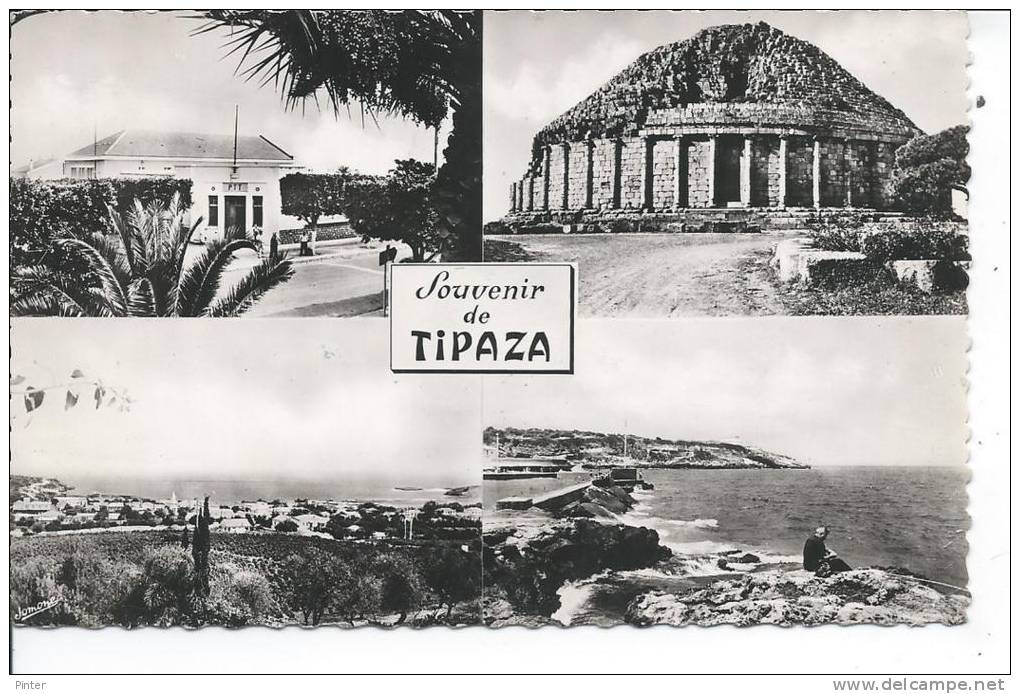 ALGERIE - Souvenir de TIPAZA
