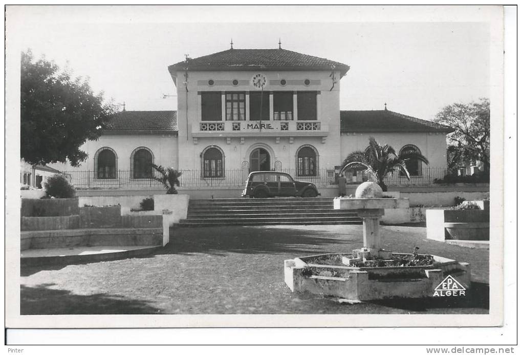 ALGERIE - TIPAZA - La Mairie