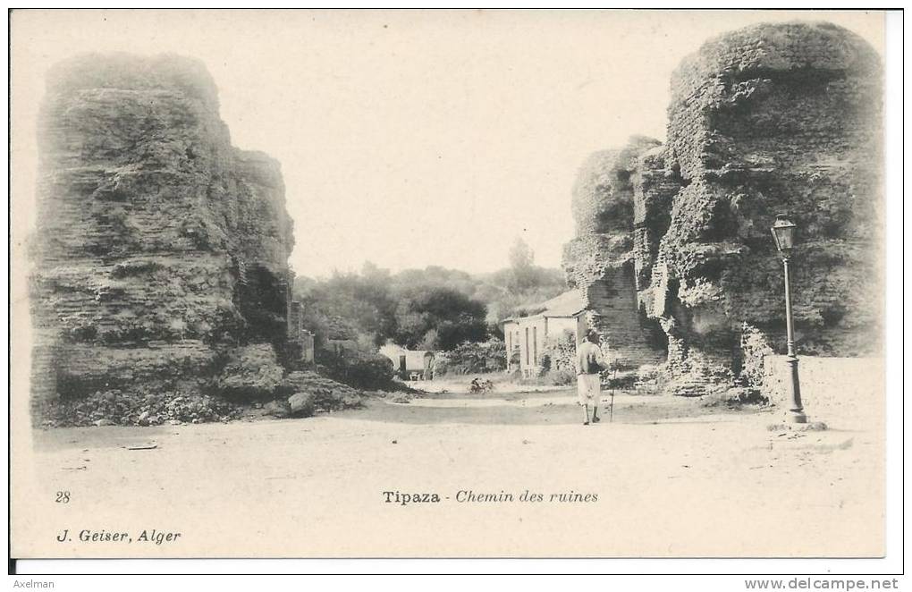 TIPAZA Chemin des Ruines