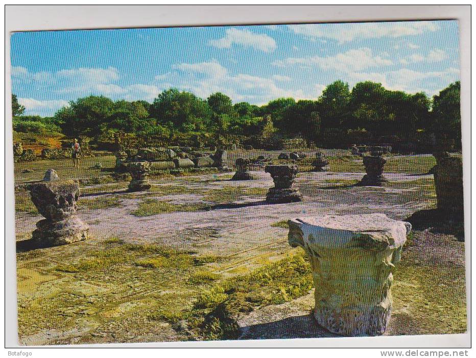CPM TIPAZA, RUINES ROMAINES