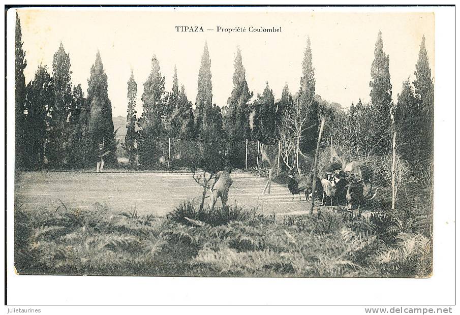 TIPAZA ALGERIE PROPRIETE COULOMBEL CPA BON ETAT