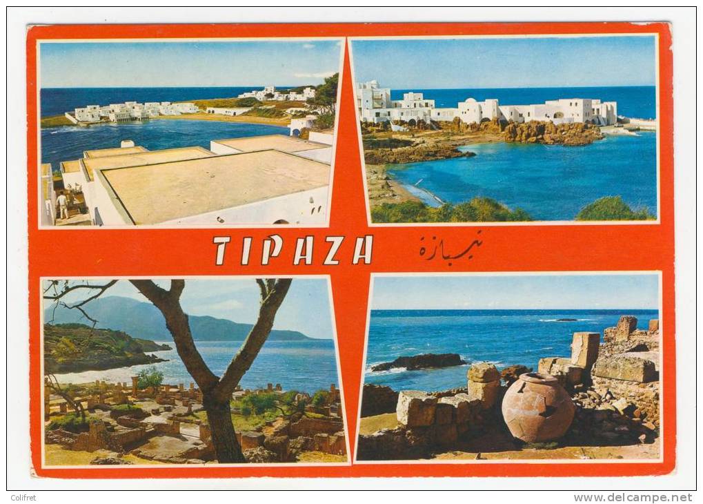 Tipaza          Multivues