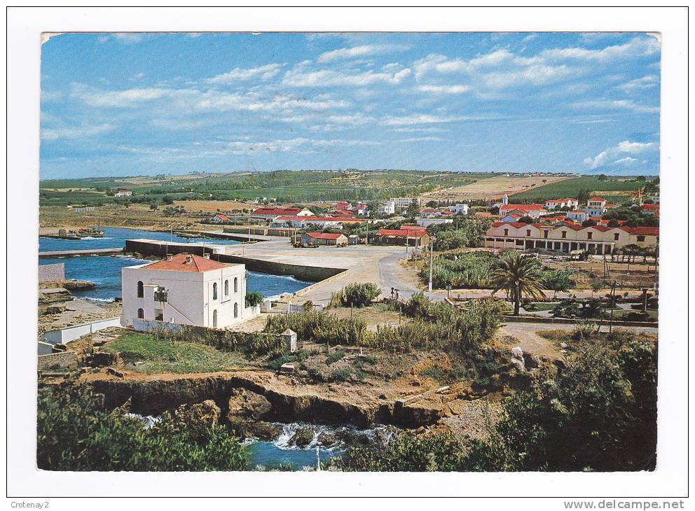 Algérie TIPAZA N°4046 en 1974