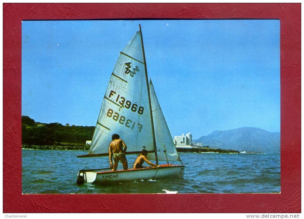 CPSM ALGERIE - TIPAZA - Un Voilier - Bateau - Boat  Yacht -  Excellent Etat - ALGERIA AFRIQUE AFRICA Card Carte