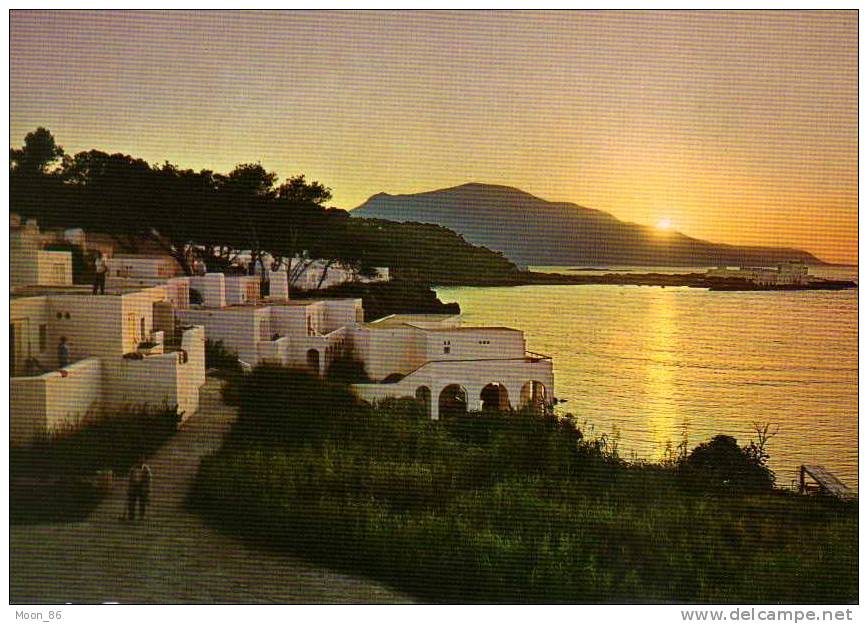 TUNISIE  - les plages d'Alger  Tipaza