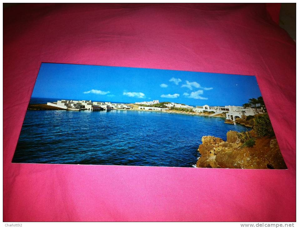 ALGERIE  Tipaza Le complexe touristique 21 x 10.50