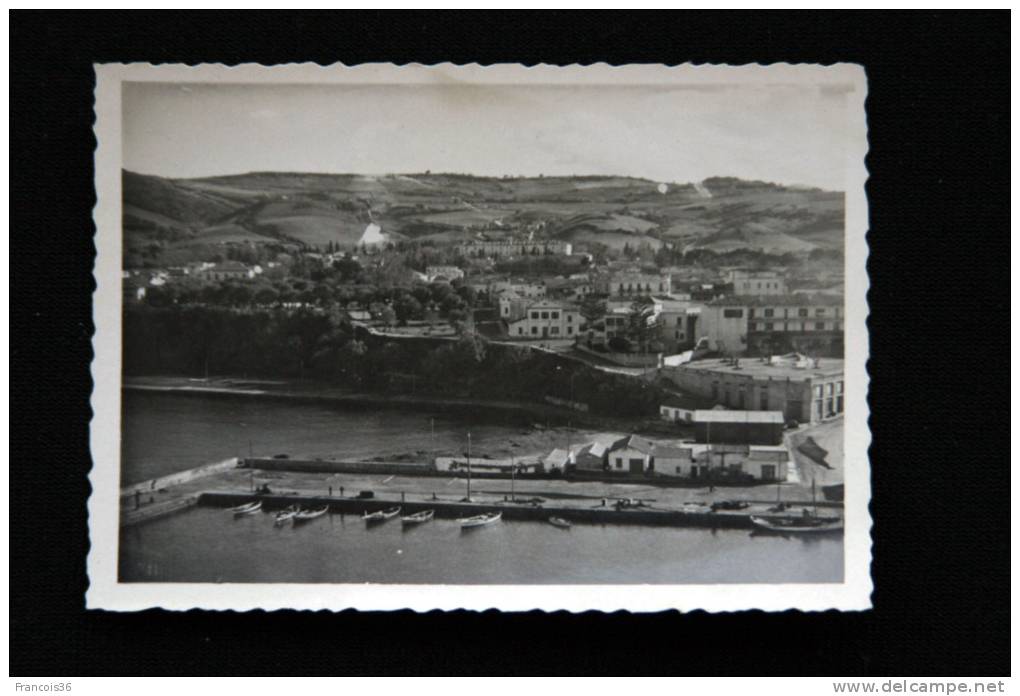 Cherchell  commune de la wilaya de Tipaza en Algérie 1950 - Le Port vu du phare - photo ancienne