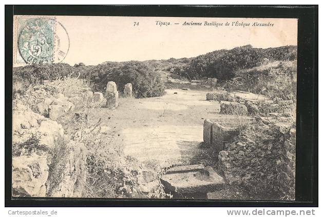 CPA Tipaza, Neue Ausgrabungsstätte entdeckt