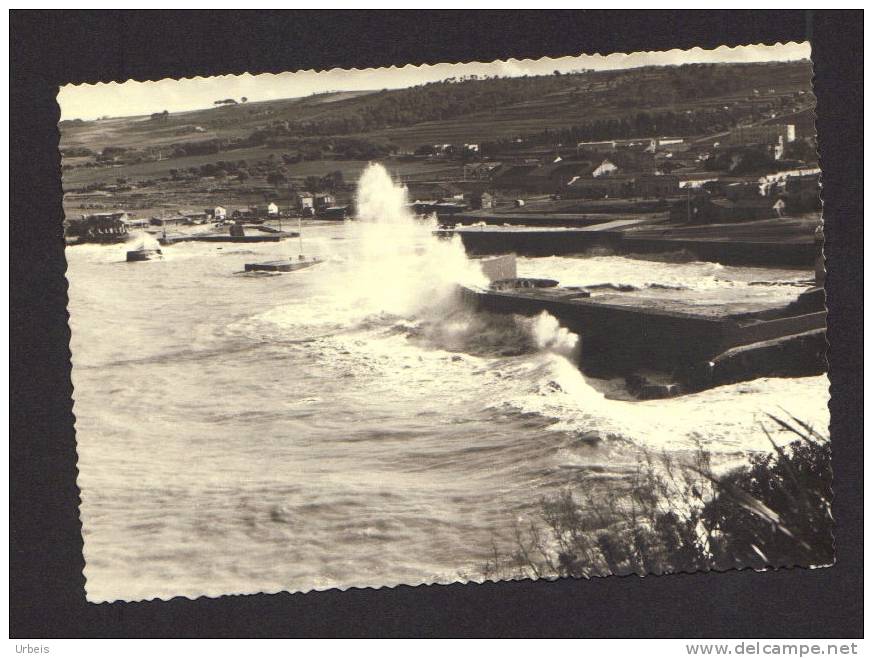 photo Tipaza Algérie