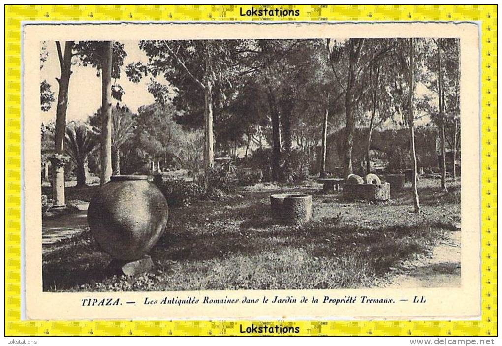 TIPAZA - Antiquités Romaines dans le Jardin de la Propriété Tremaux