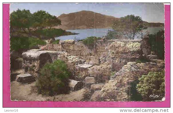 TIPAZA (TIPASA)  -    * RUINES ROMAINES  *  -   Collection PIGNELLA   -  Editeur  C.I.M. de Macon   Nr  4