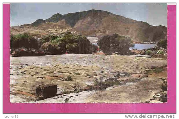 TIPAZA (TIPASA)  -    * RUINES ROMAINES ( LE FORUM ) *  -   Collection PIGNELLA   -  Editeur  C.I.M. de Macon   Nr  11