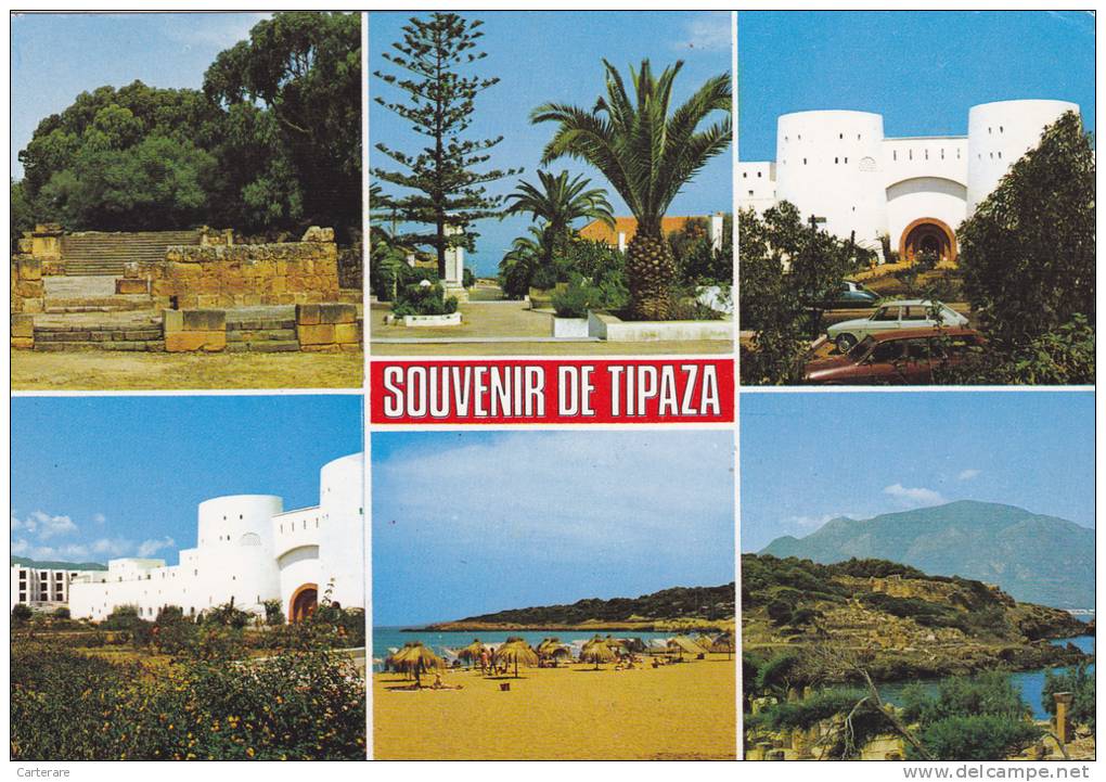 AFRIQUE,FRANCE COLONIES,MAGHREB,TIPAZA,T IPASA,IL Y A 33 ANS,ville cotiere,pres alger,hotel,station balnéaire,chenoua