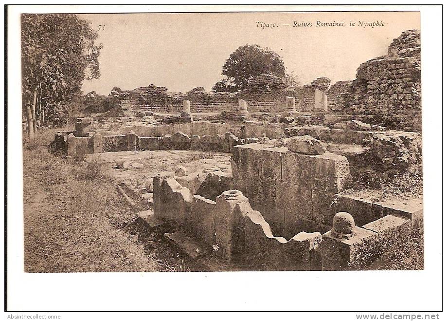 ALGERIE TIPAZA ruines romaines la nymphée