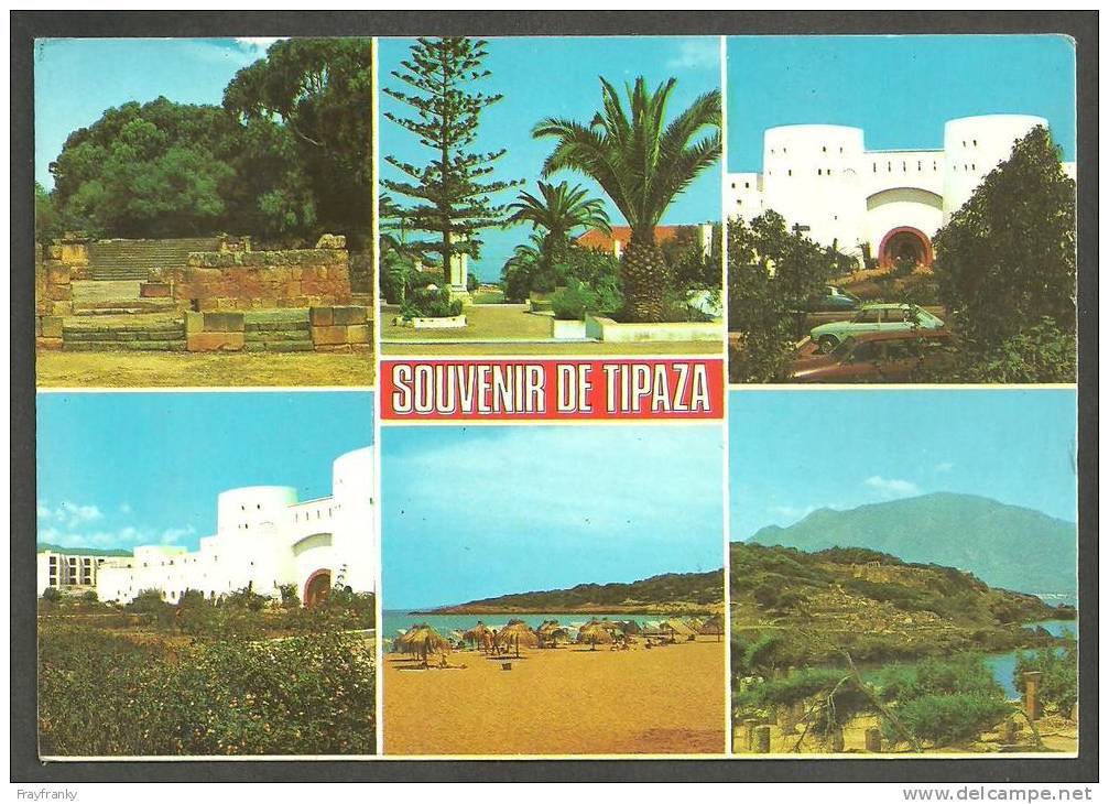 SOUVENIR  DE  TIPAZA  -  ALGÉRIE