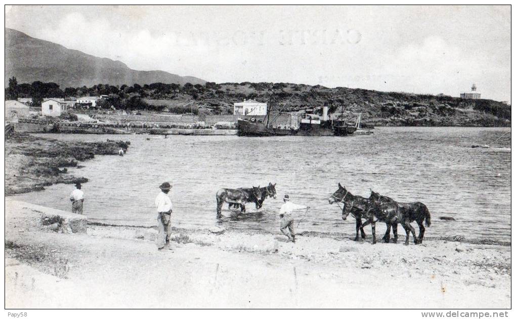 Algérie > Villes > Autres villes Tipaza La plage le quai et la colline des temples