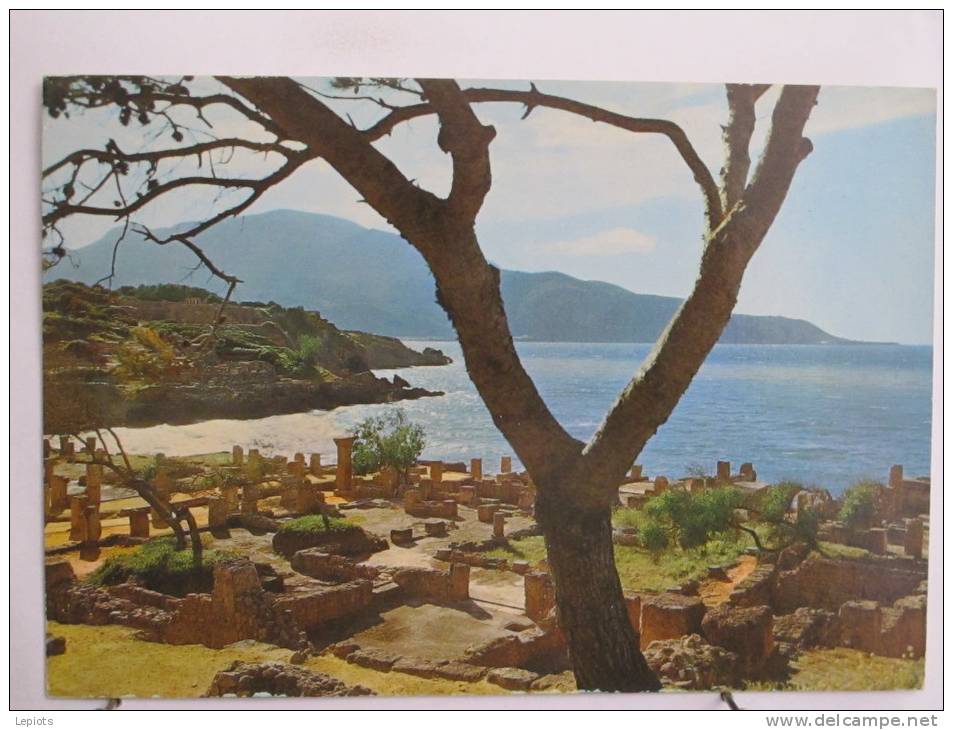 Algérie - Tipaza - Ruines Romaines - Scan recto-verso