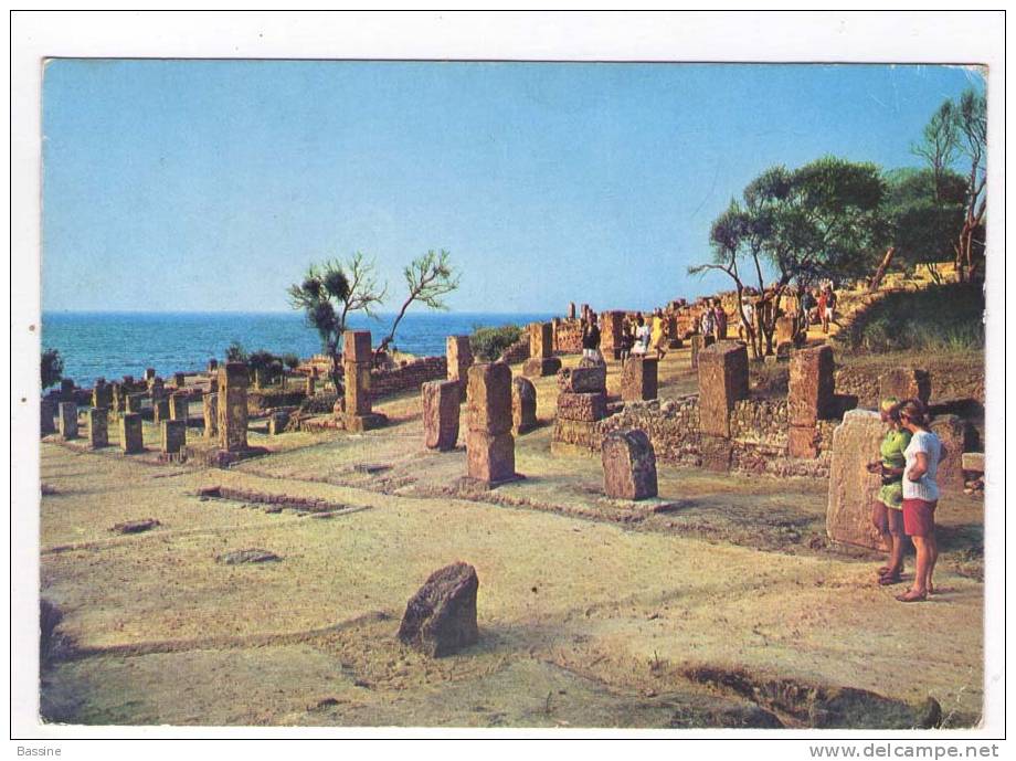 CPM 10*15/D515/TIPAZA RUINES ROMAINES 1982