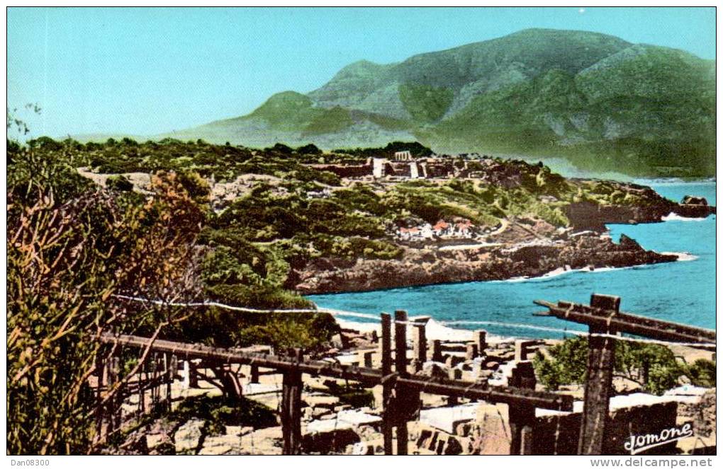 ALGERIE TIPAZA VUE SUR LE MONT CHENOUA CPSM PAS CIRCULEE