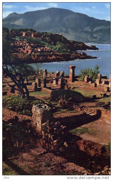 Algérie - Tipaza - 59819
