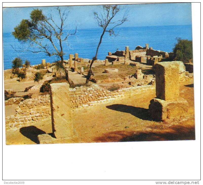 B63011 Algerie Tipaza Les ruines romaines not used perfect shape back scan at request