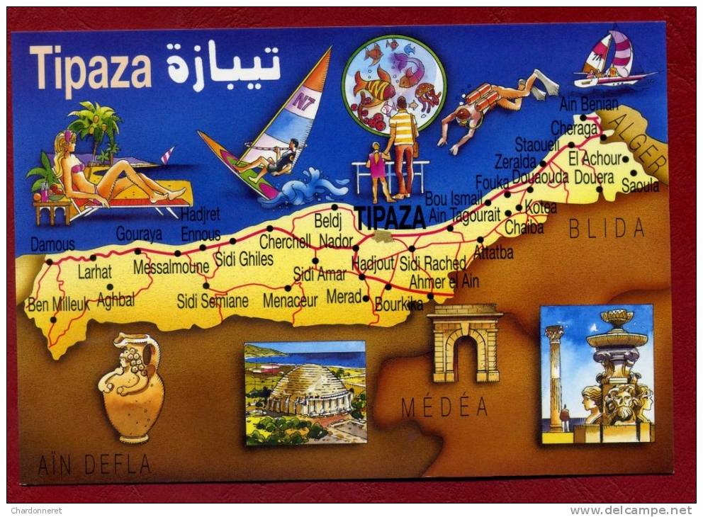 CPSM ALGERIE - TIPAZA - STAOUELI - ZERALDA - FOUKA - GOURAYA DOUERA - ALGERIA AFRIQUE AFRICA Card Carte