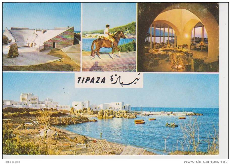 (ALG12) ALGER . TIPAZA