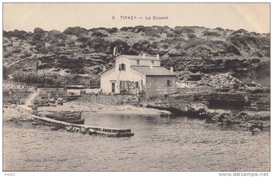 ALGÉRIE - TIPAZA - La Douane