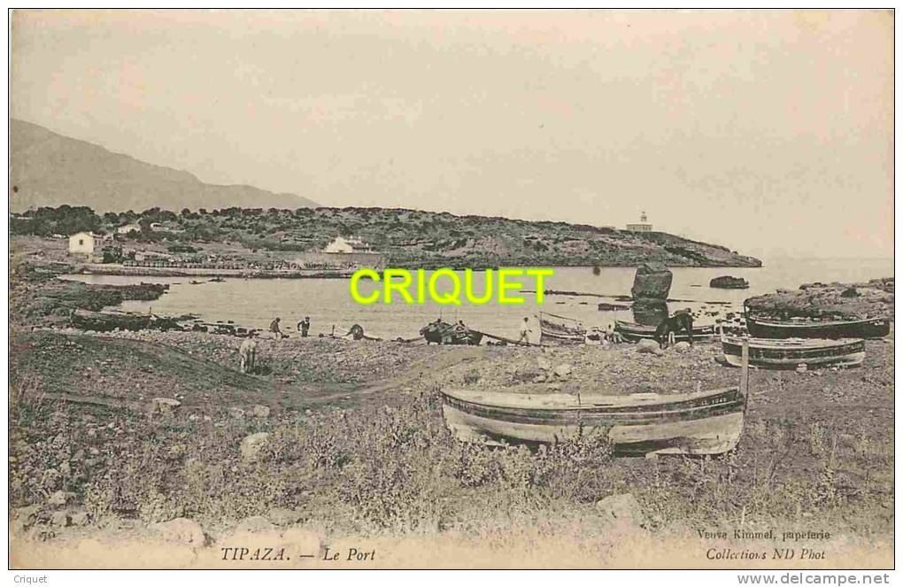 Algérie, cpa Tipaza, le Port, petite animation, belles barques