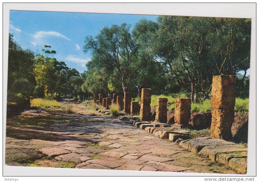 CPM TIPAZA, ROUTE IMPERIALE ALGER CHERCHELL, DU II SIECLE