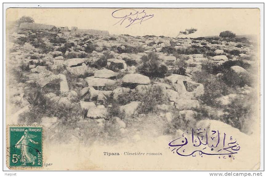 TIPAZA    -  Cimetière Romain  -  1910