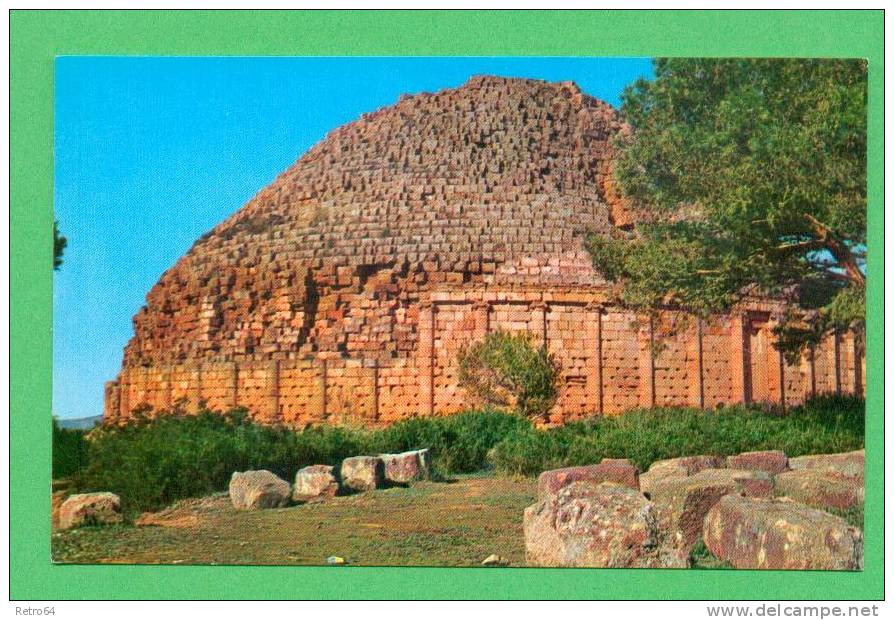 CPSM  ALGERIE  -  TIPAZA  -  15  Tombeau de la Chrétienté  ( IIIe siècle )