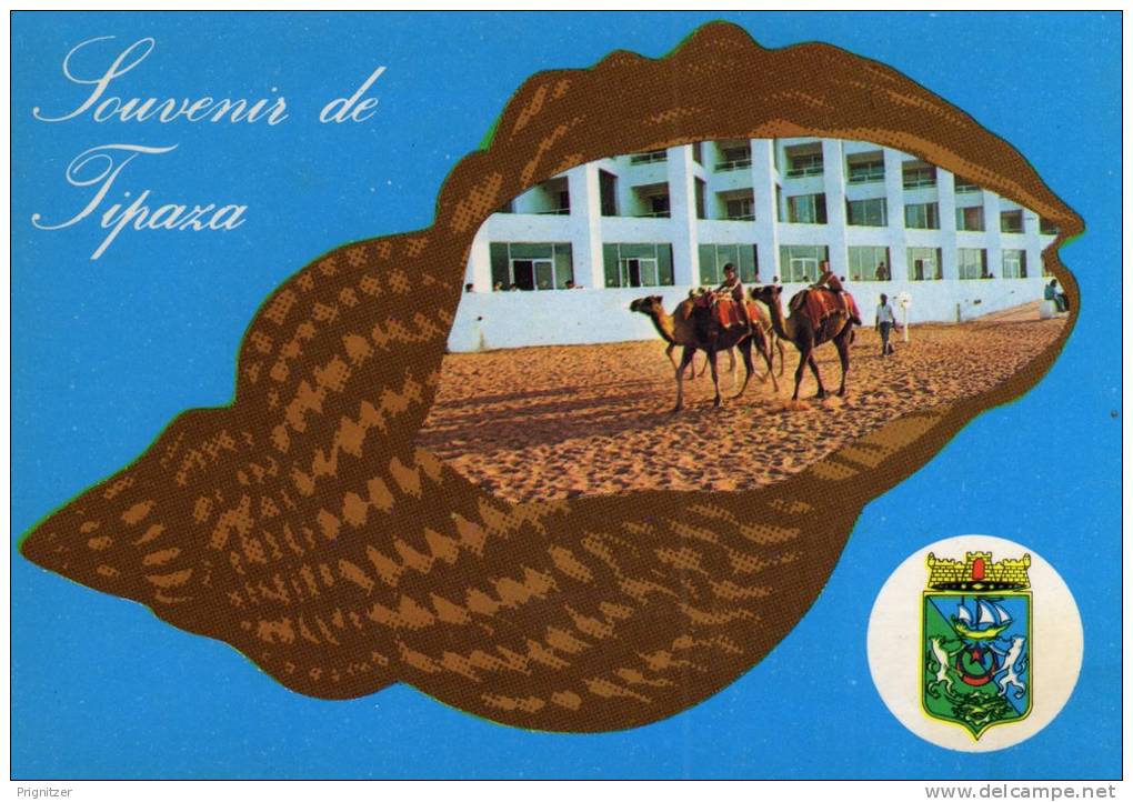 ALGERIE / ALGERIEN / ‏ال 80;زائ& #1585;     Souvenir de Tipaza