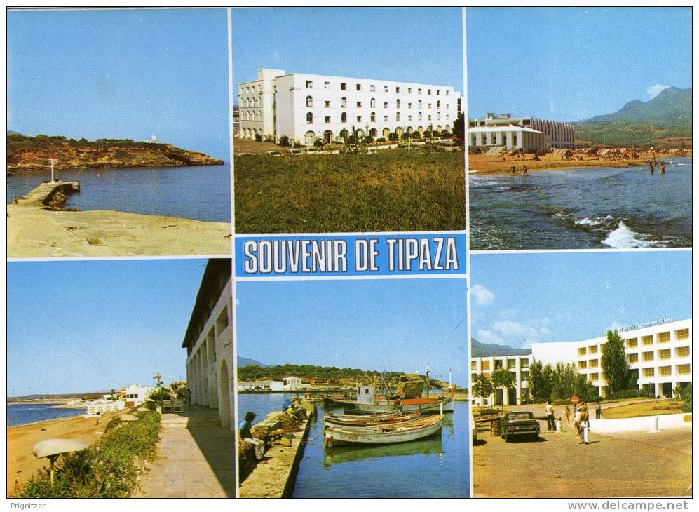 ALGERIE / ALGERIEN / ‏ال 80;زائ& #1585;     Souvenir de Tipaza