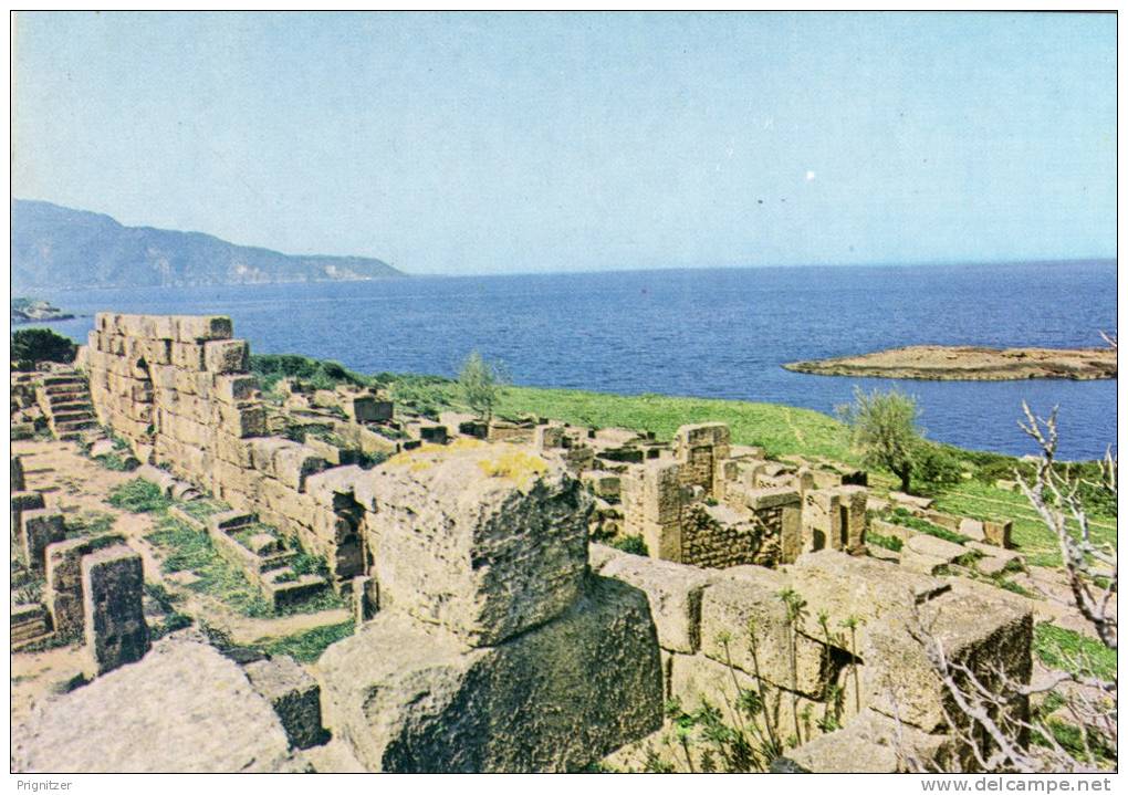 ALGERIE / ALGERIEN / ‏ال 80;زائ& #1585;     Tipaza    Ruines Romaines