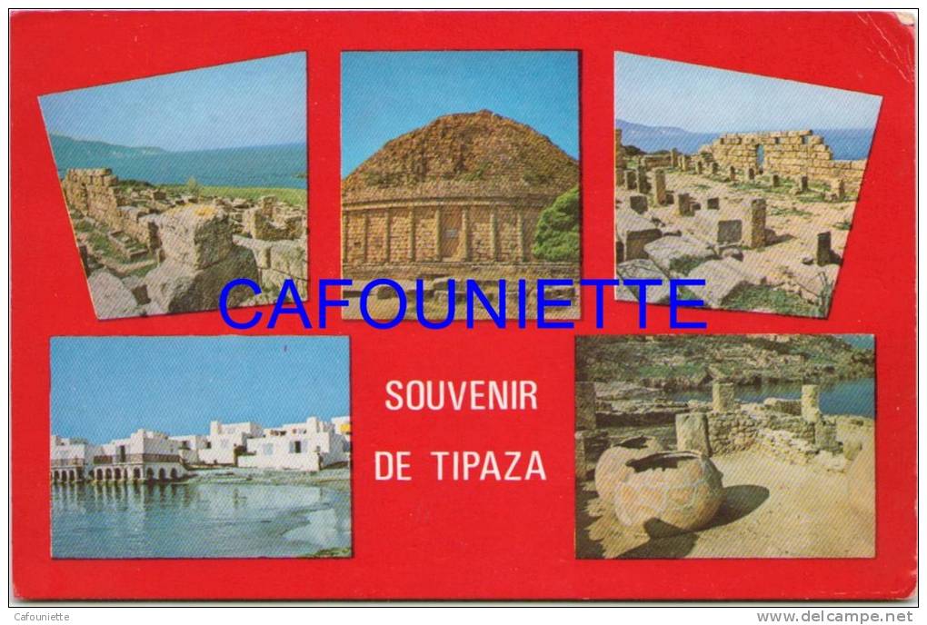 Tipaza